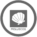 Contiene moluscos.
